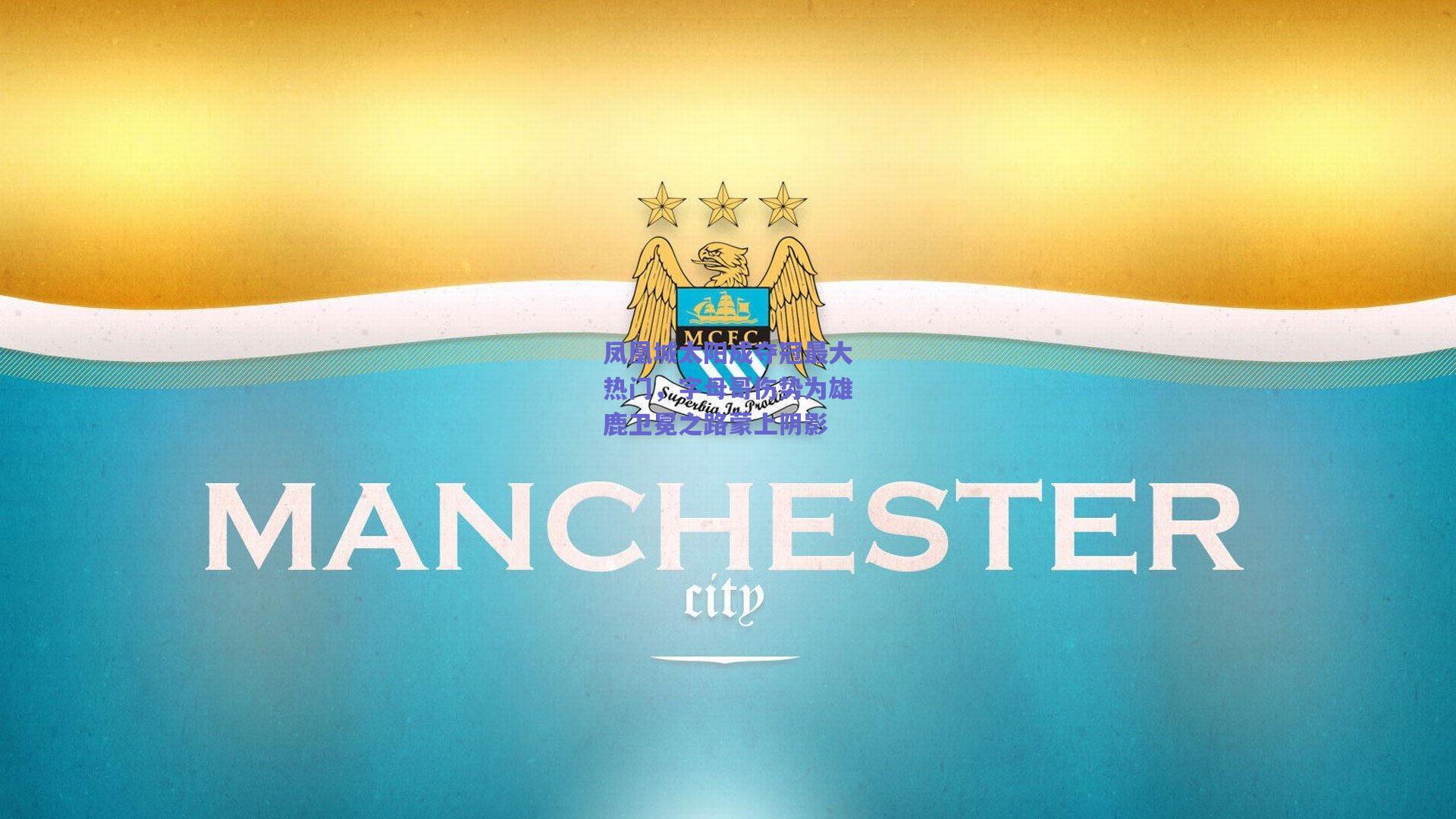 凤凰城太阳成夺冠最大热门,字母哥伤势为雄鹿卫冕之路蒙上阴影