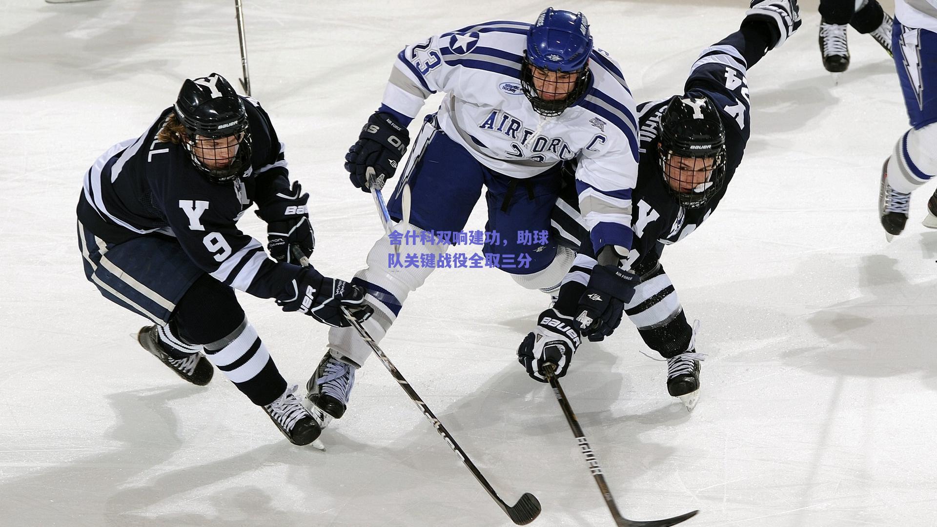舍什科双响建功，助球队关键战役全取三分